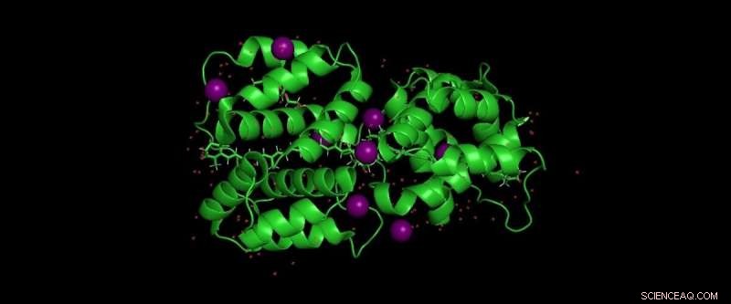 New Light‑Absorbing Protein Discovered in Cyanobacteria: A Breakthrough in Photosynthetic Research