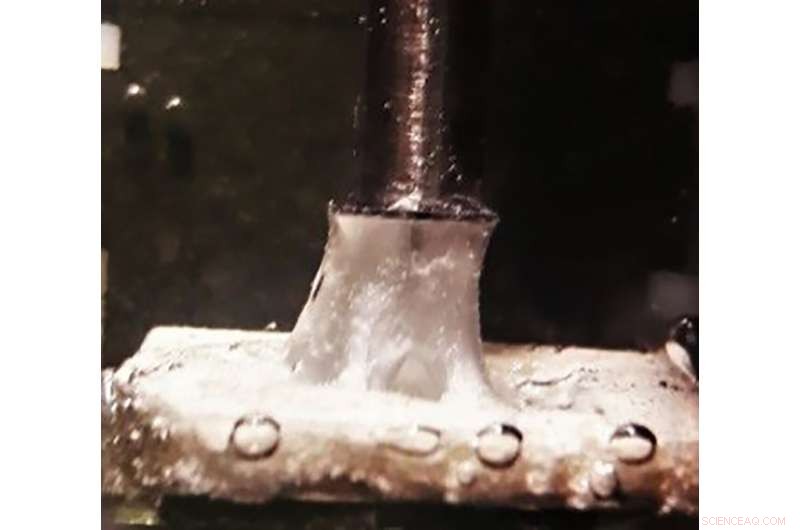 Bioinspired Adhesive Secures Any Underwater Surface with Unmatched Bond Strength