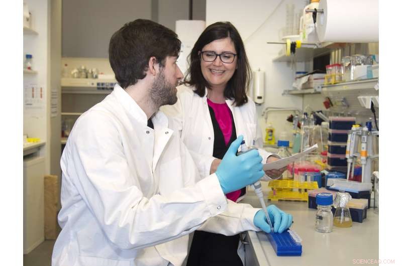 Ubiquitin-Based Protein Labeling Opens New Pathways in Cell Regulation Research