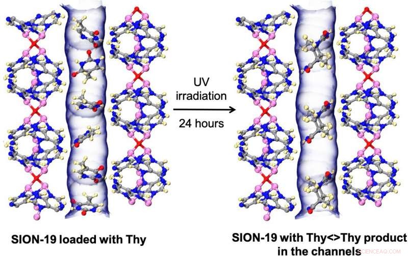 DNA‑Inspired MOF: Biologically Derived Framework Mimics Adenine‑Thymine Interactions