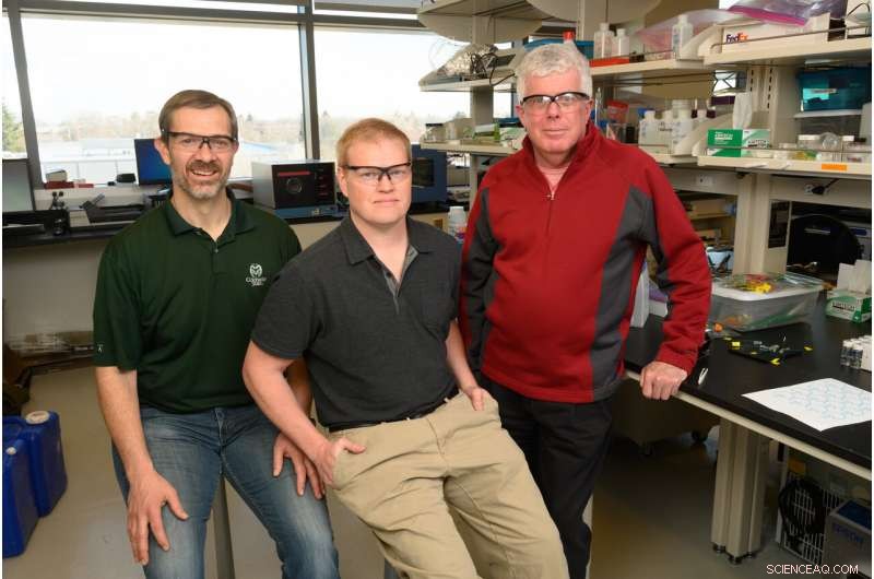 Colorado State University Unveils Ultra-Sensitive Viral Detection Method