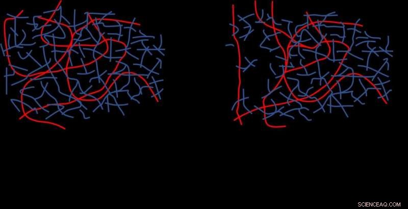 Slug Glue Insights: Advancing Medical Adhesive Innovation