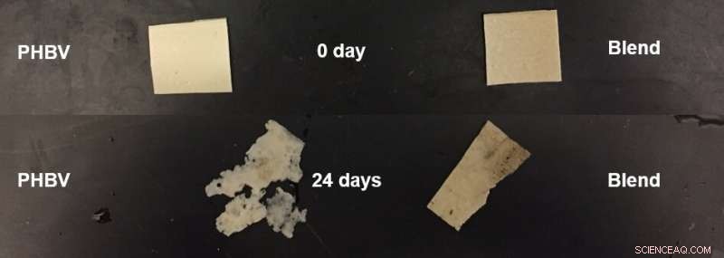 Ohio State Breakthrough: Durable Bioplastic‑Rubber Blend as Earth‑Friendly Plastic Alternative