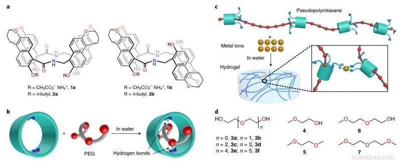 Shear-Force‑Driven Self‑Assembly of Supramolecular Hydrogels: Innovative Research from China