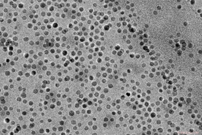 Reducing the Carbon Footprint of Everyday Chemicals: Innovative Solutions