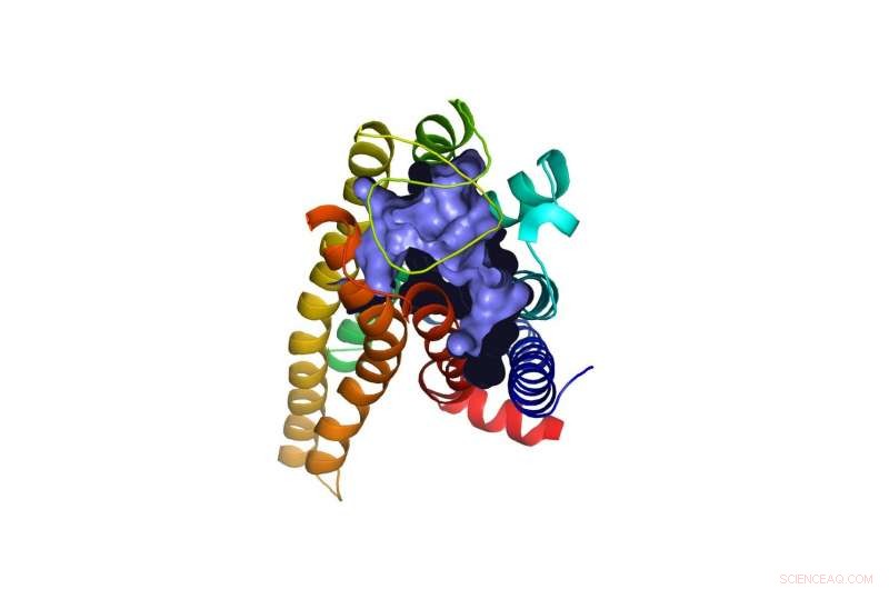 Scientists Discover Human Receptor for Epsom Salt: New Insights into Its Health Effects