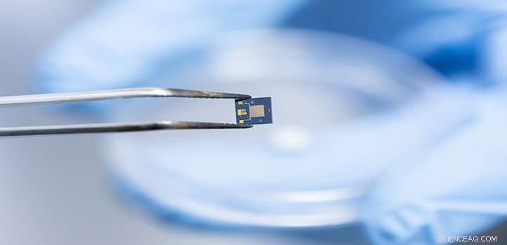 MOFs: Advanced Gas Sensing and Separation for Safe Environments