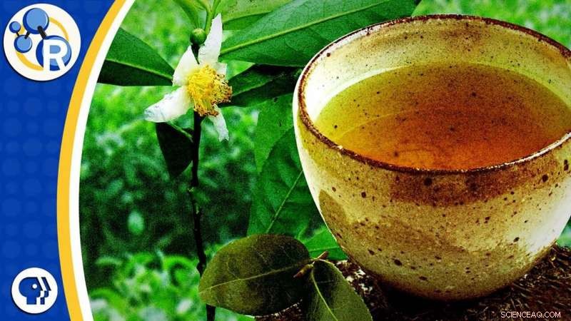 Exploring Tea: The Chemistry Behind Flavor Variations