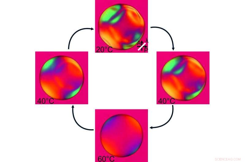 Innovative Method Reverses Liquid Crystal Self-Assembly, Paving the Way for Advanced Materials