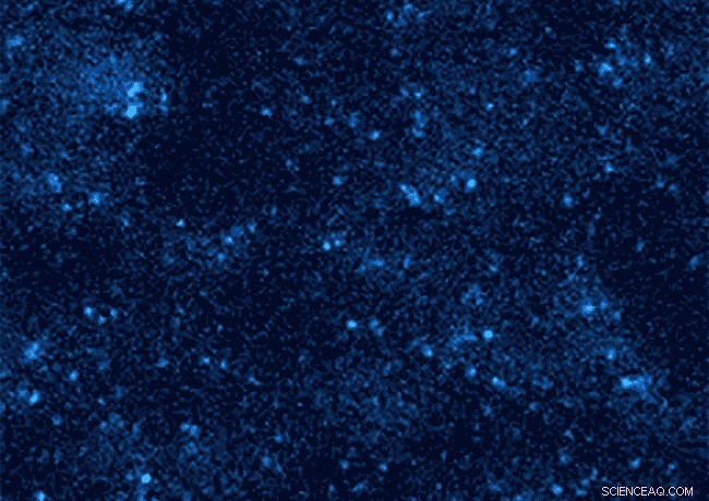 Tiny Light‑Up Barcodes Reveal Molecular Identity Through Twinkling Signals