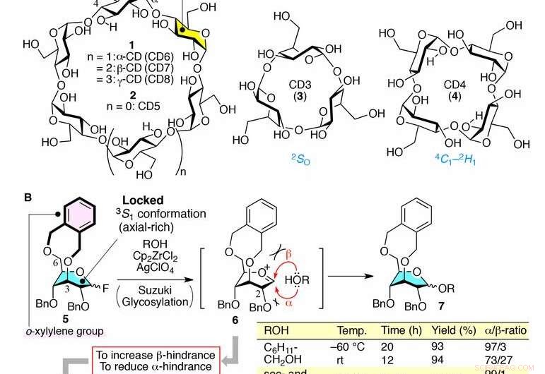 Scientists Develop Novel Method to Synthesize Small Cyclodextrins
