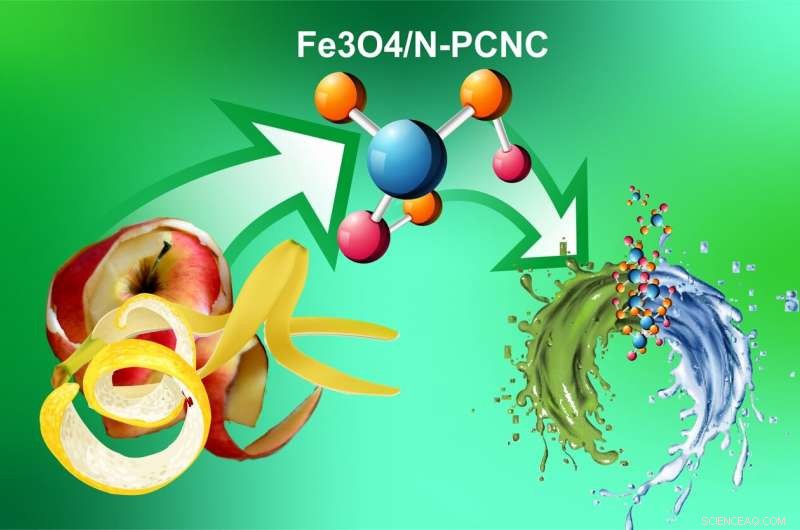 RUDN Scientists Create Eco-Friendly Nanocomposites from Fruit and Berry Peels for Water Purification and Catalysis