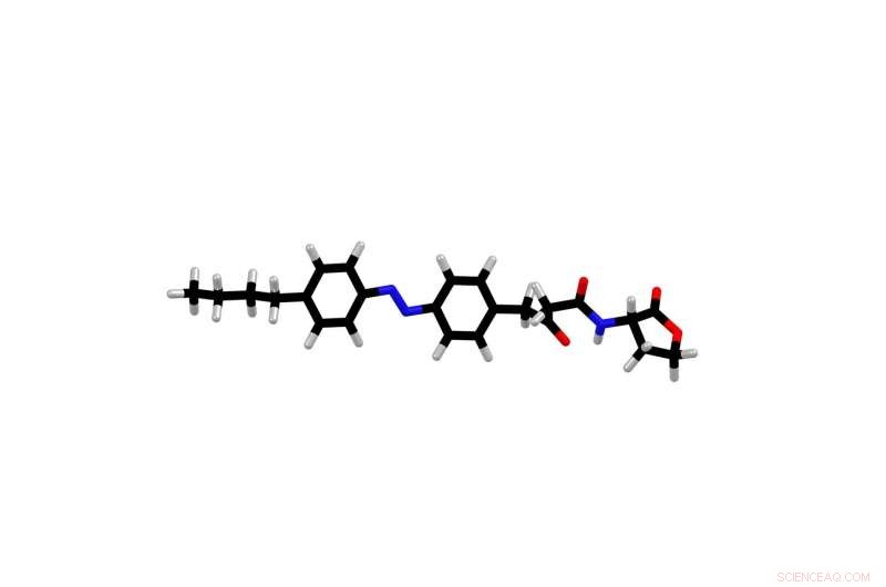 Light-Activated Compound Enables Precise Control of Bacterial Communication