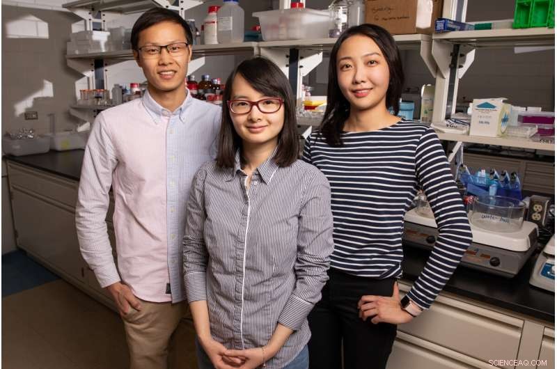 Multistep Self‑Assembly Paves the Way for Next‑Generation Reconfigurable Materials