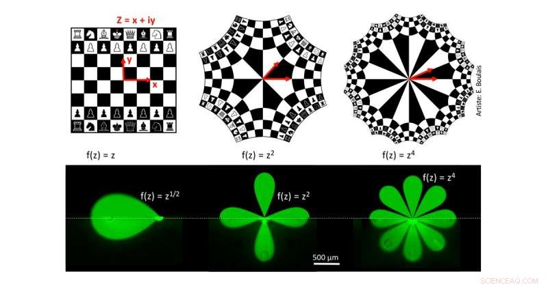 Revolutionizing Diagnostics: Automated Systems Speed Up Biological Sample Analysis