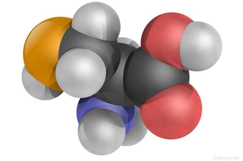 Deep Learning Breakthrough: Accurately Predicts Protein Structures from Amino Acid Sequences