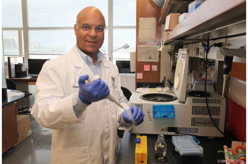 UNC45A: Essential for Cancer Cell Proliferation, Not Required in Normal Cells