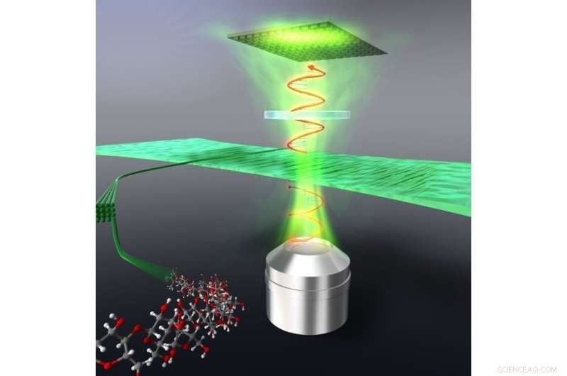 Unveiling Cellulose’s Optical Power: From Food to Cutting‑Edge Displays