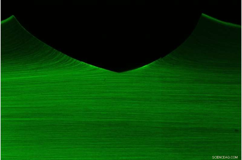 Exercise Enhances Hydrogel Performance, Mimicking Natural Muscle Function