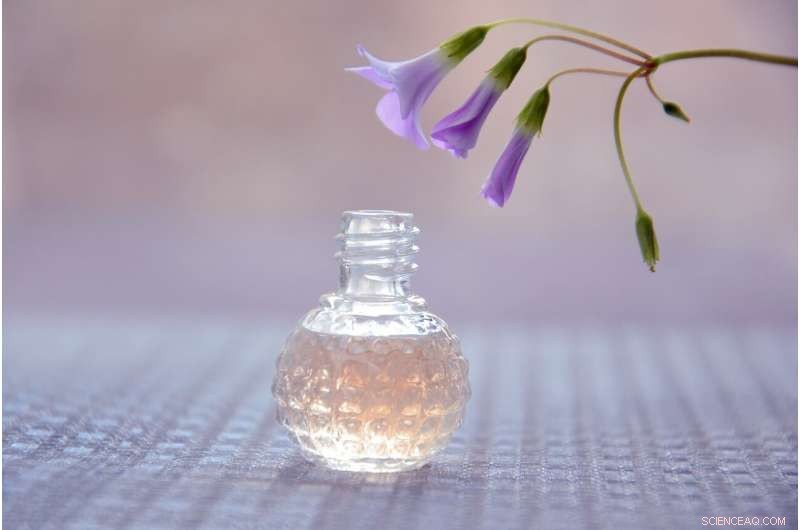 Perfume Makers Embrace Natural, Sustainable Scents for a Cleaner Future