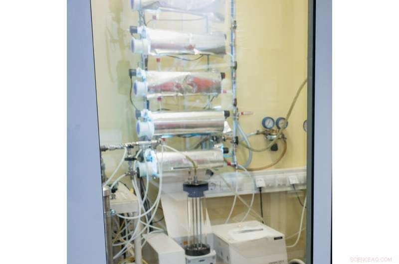 Scientists Unveil Innovative Technique to Boost Air Purifier Performance