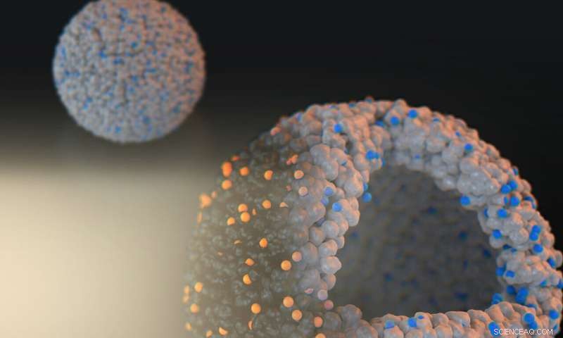 Enzyme‑Inspired Single‑Atom Catalysts Revolutionize Heterogeneous Catalysis