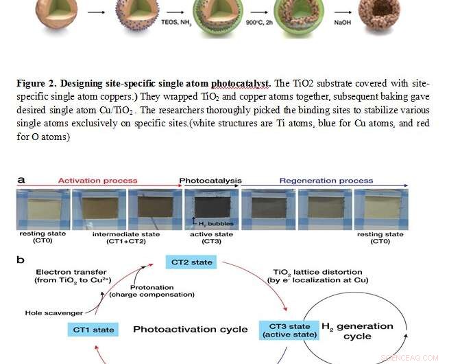 Enzyme‑Inspired Single‑Atom Catalysts Revolutionize Heterogeneous Catalysis