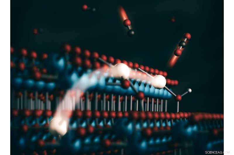 Unveiling the Dynamics of Single‑Atom Catalysts in Action