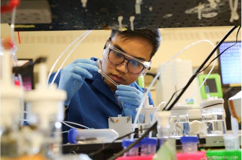 Eliminating Fossil Fuels from the Petrochemical Industry: A Sustainable Approach