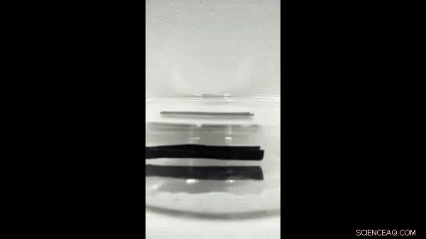 Engineering Ultra-Fast Dual-Gradient Hydrogels for Biomimetic Snapping Actuators