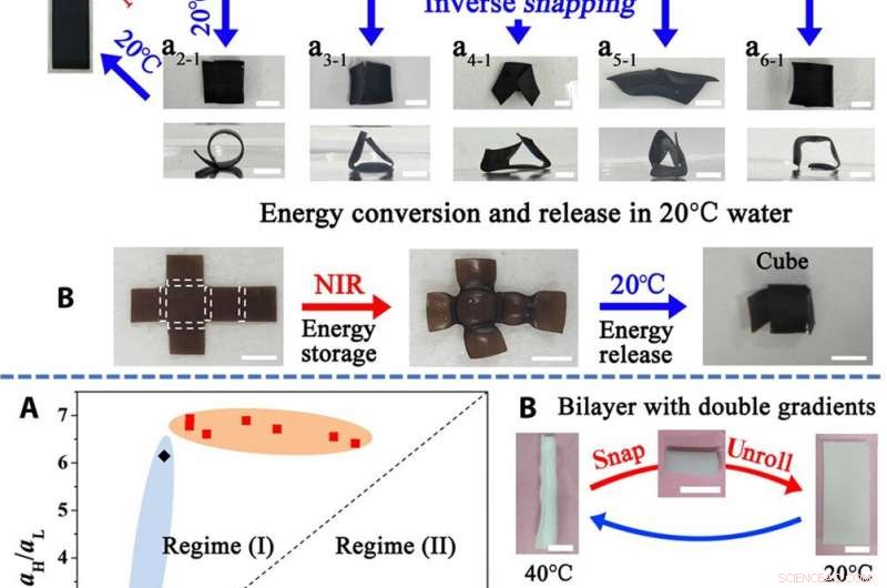 Engineering Ultra-Fast Dual-Gradient Hydrogels for Biomimetic Snapping Actuators