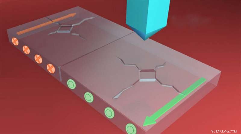 Flexoelectricity Drives Asymmetric Crack Propagation in Polar Materials