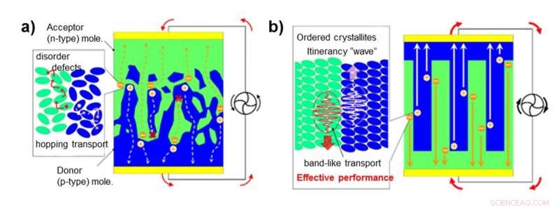 Tracking Charge Carriers in Molecular Crystals at Organic PN Junctions
