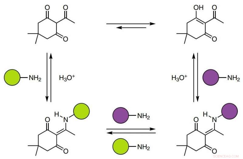 Recyclable Thermoset Polymer Created from Amine and Triketone Precursors