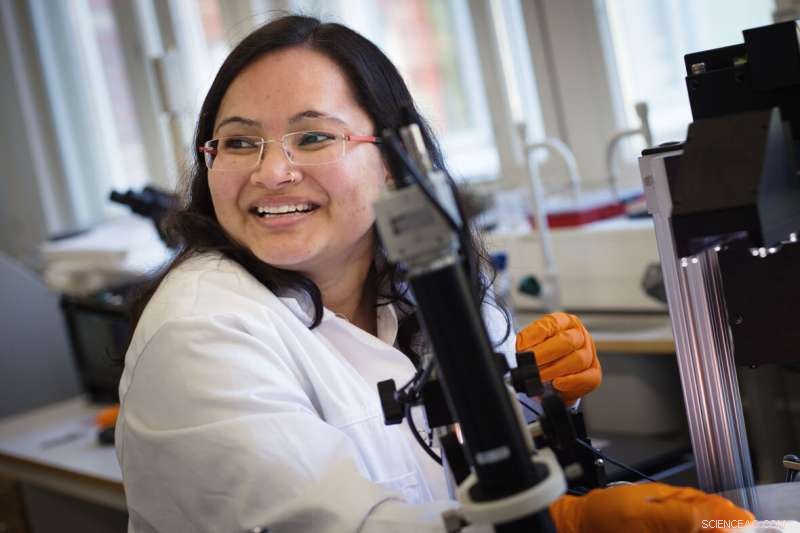 Water-Induced Traps Undermine Performance in Organic Electronics