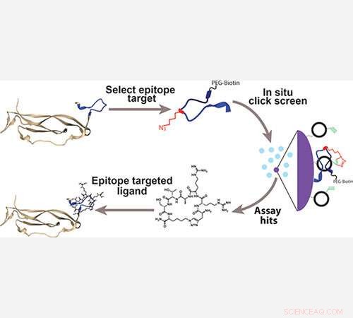 Harnessing Biotechnology: Wearable Sensors for Comprehensive Personal & Environmental Monitoring
