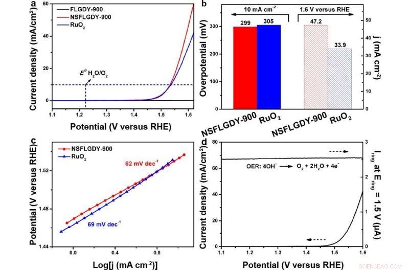 Breakthrough: Stereodefined N–S Codoped Graphdiyne Boosts Oxygen Evolution for Energy Applications