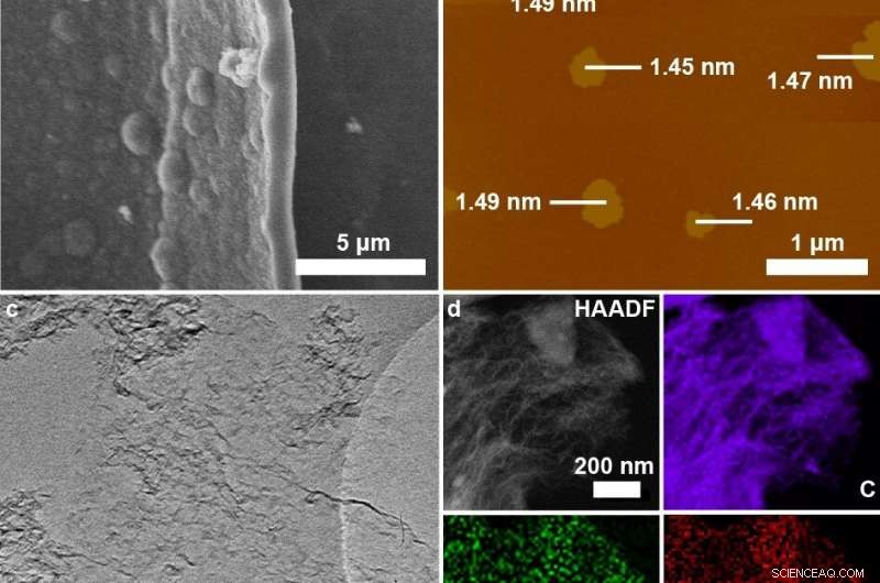 Breakthrough: Stereodefined N–S Codoped Graphdiyne Boosts Oxygen Evolution for Energy Applications