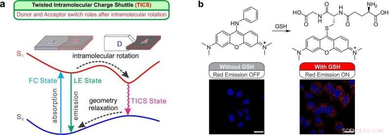 Researchers Uncover Innovative Charge Transfer and Separation Mechanism