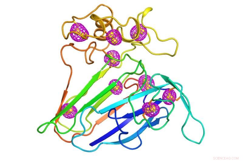 Revolutionary Microcrystallography Technique Deciphers Protein Structures from Tiny Crystals