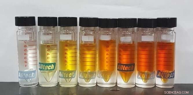 UW Researchers Unveil Industry-Ready Process Turning Plant Sugars into HMF for Plastics & Biofuels