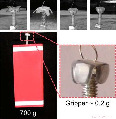 Shrink Films Strengthen Grip with Advanced Adhesive Technologies