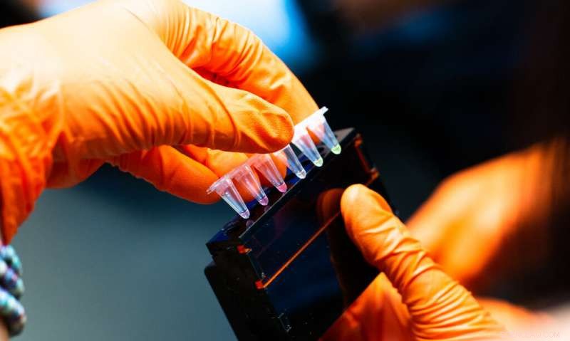 Teaching CRISPR & Antibiotic Resistance to High School Students: A Hands‑On, Engaging Approach