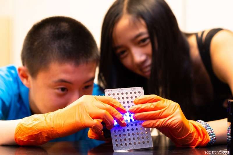 Teaching CRISPR & Antibiotic Resistance to High School Students: A Hands‑On, Engaging Approach