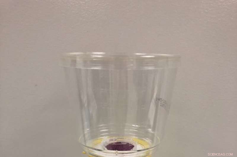 Revolutionary Sensor Detects Spoiled Milk Before Opening