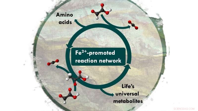 Evidence That Simple Biomolecules Could Trigger Earth’s First Biochemical Networks