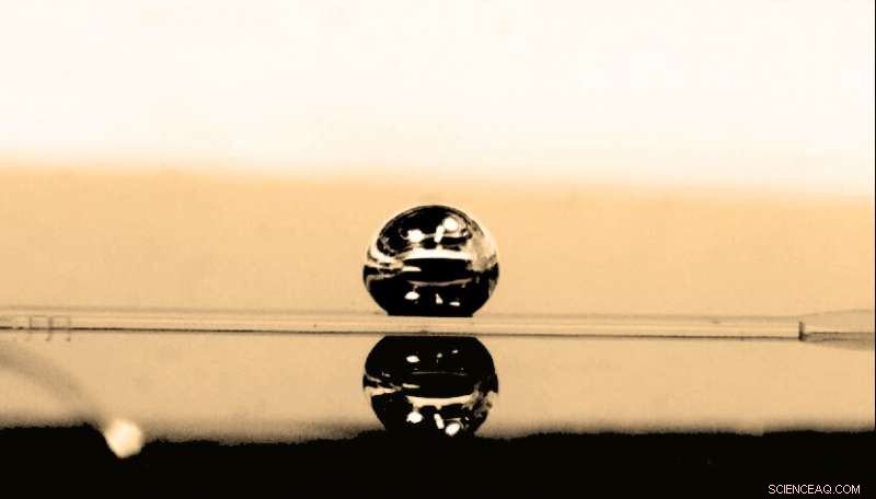 Mini-Centrifuge Enables Simplified Blood Cell Analysis, Unlocking New Organ-on-Chip Applications