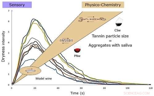 What Makes Certain Red Wines Taste Dry? The Science Explained