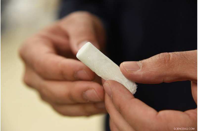 WSU Researchers Pioneer Eco-Friendly, Plant-Based Alternative Surpassing Styrofoam