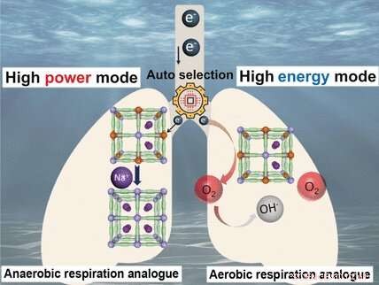 Seawater Power Generator Switches Autonomously Between Two Modes for Reliable Energy